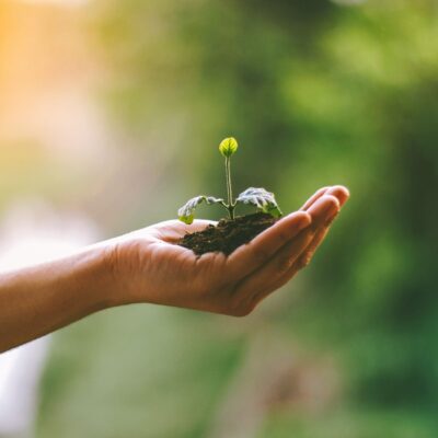 pexels-photo-4763942-4763942 A hand gently cradles a young sprout in soil, symbolizing nurturing and growth.